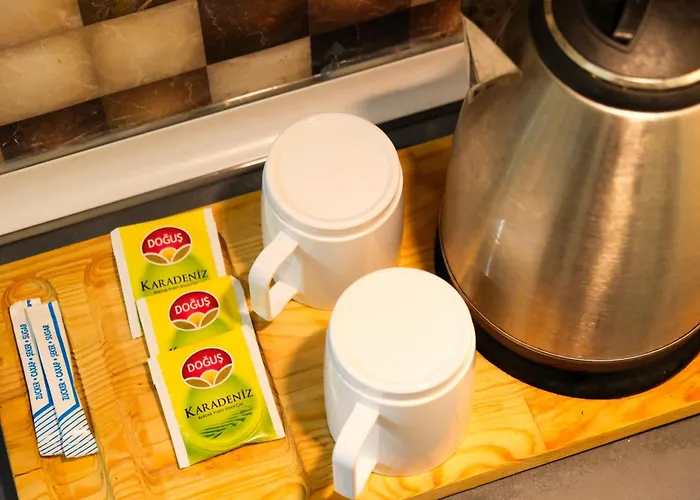 Taksim Nikea 80 아파트호텔