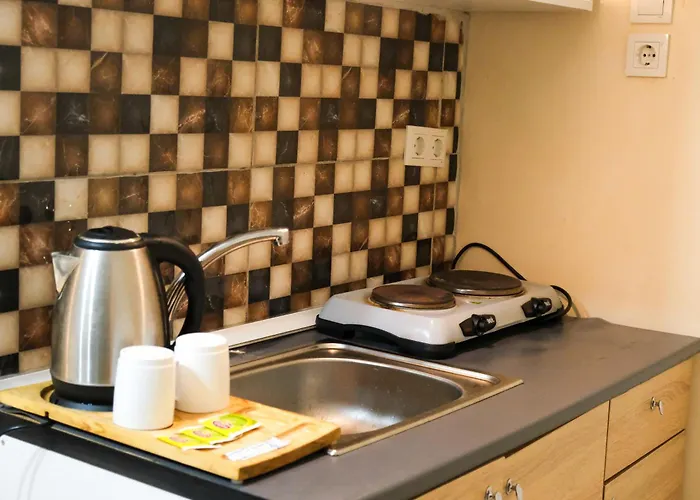 Taksim Nikea 80 아파트호텔